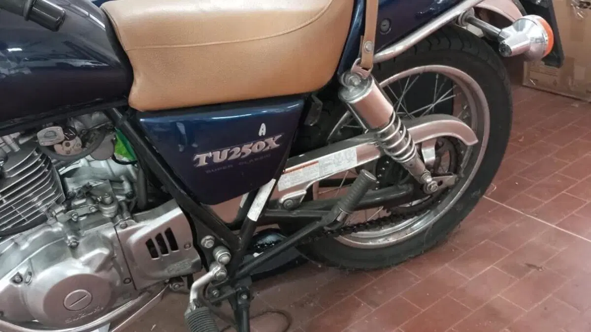 Suzuki TU 250 X (1997 - 03)  (3)