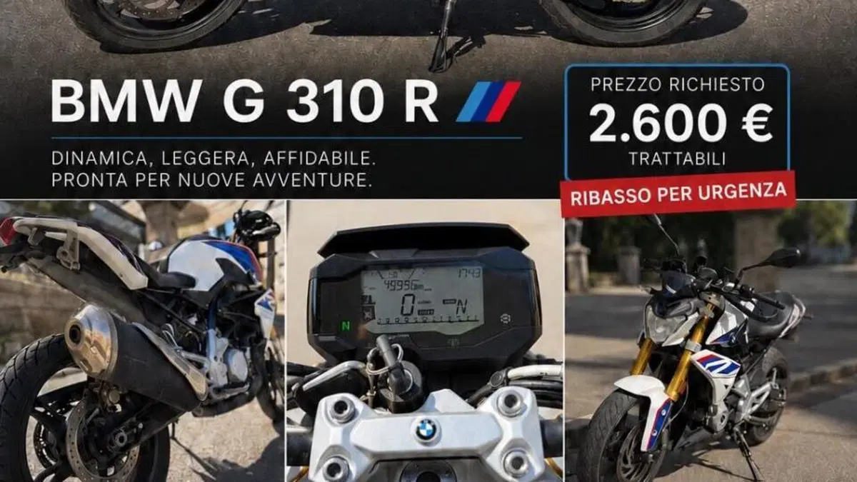 Bmw G 310 R (2016 - 20) 