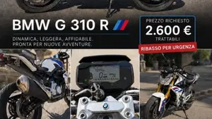 Bmw G 310 R (2016 - 20) 