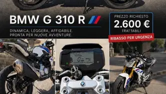 Bmw G 310 R (2016 - 20) usata