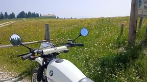 Bmw   (4)