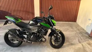 Kawasaki Z 400 Performance (2020) 