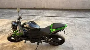 Kawasaki Z 400 Performance (2020)  (2)