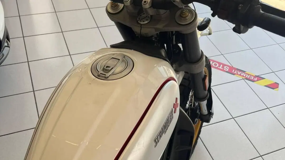 Ducati Scrambler 800 Desert Sled (2017 - 20)  (3)