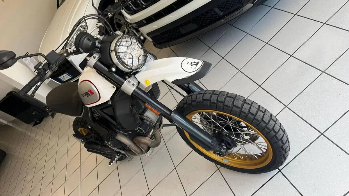 Ducati Scrambler 800 Desert Sled (2017 - 20)  (7)