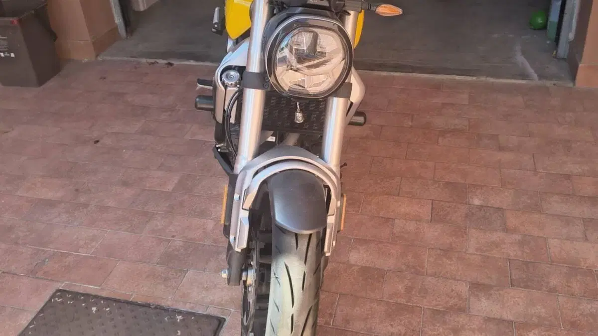 Voge Trofeo 350AC (2022 - 26)  (5)