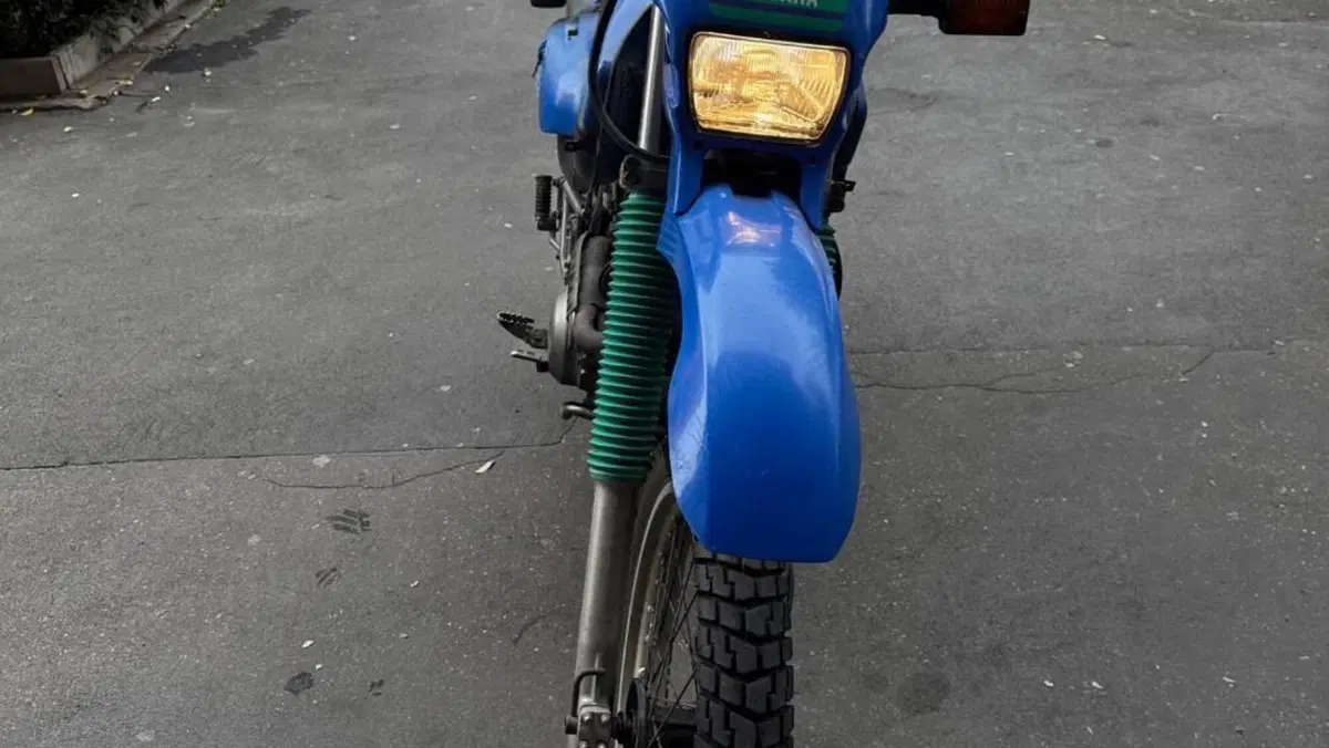 Yamaha   (2)