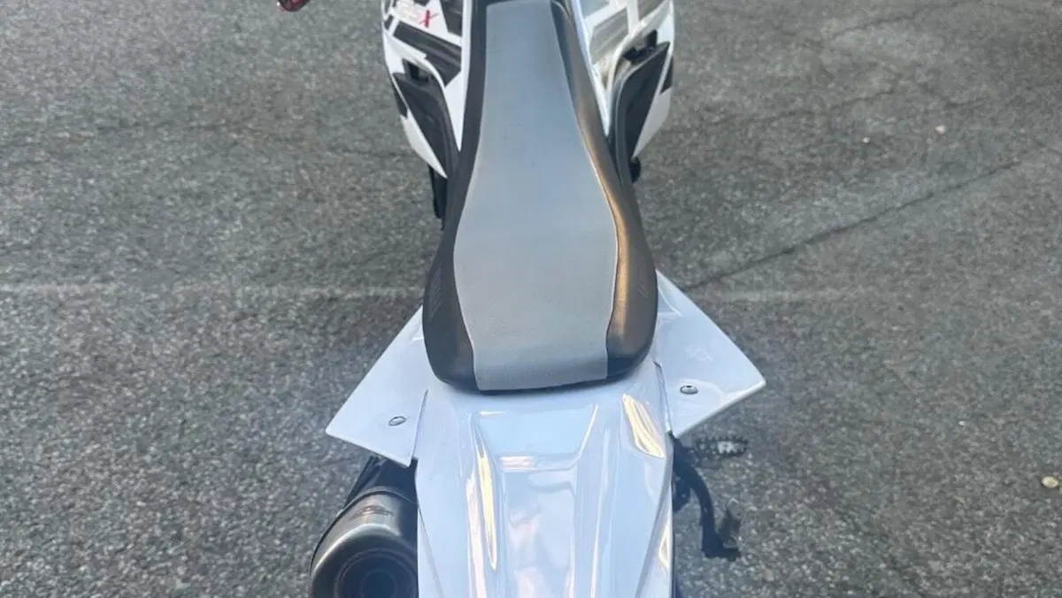 Yamaha WR 125 X (2009 - 16)  (13)