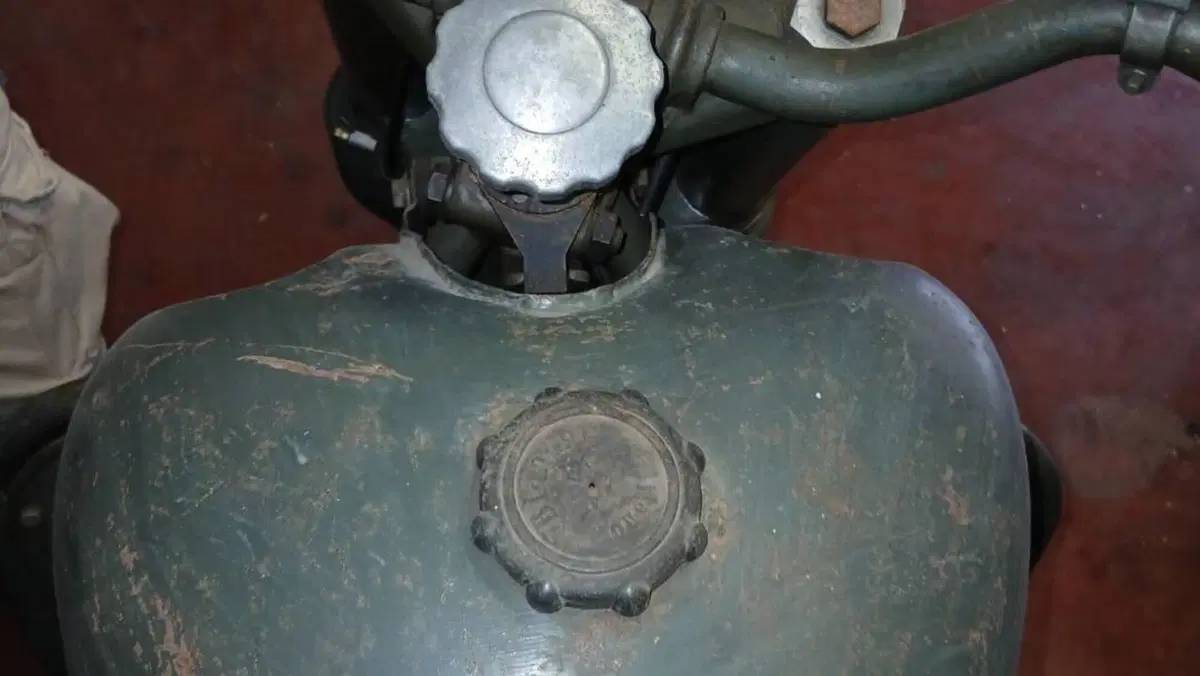 Bianchi   (5)