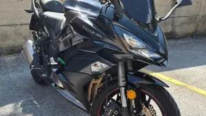 Kawasaki Z 1000 SX Tourer (2017 - 20)  (2)