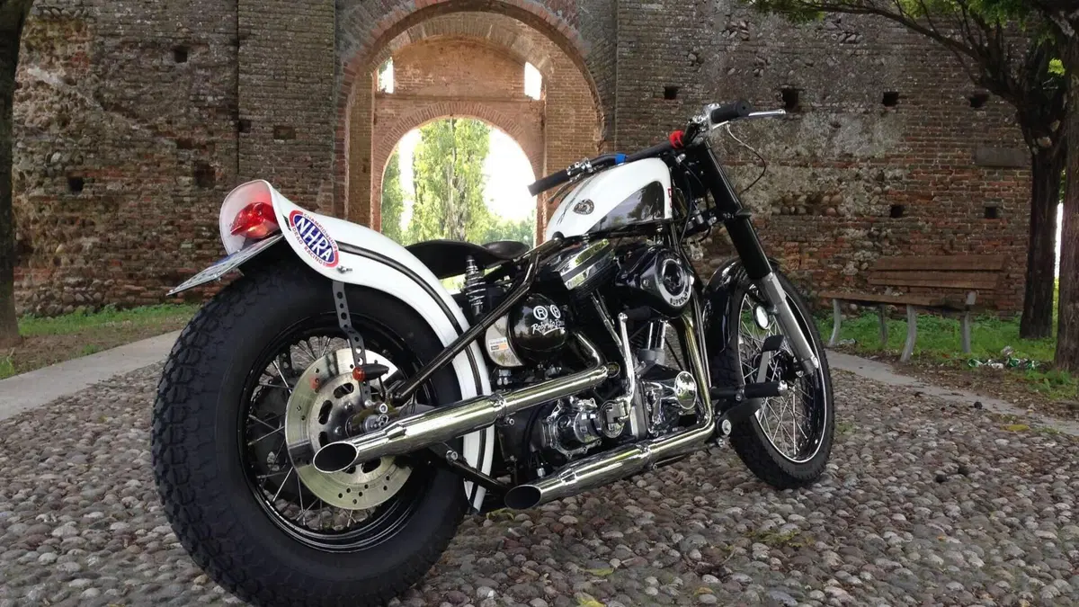 Harley-Davidson   (2)