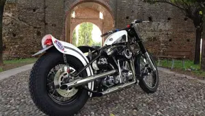 Harley-Davidson   (2)