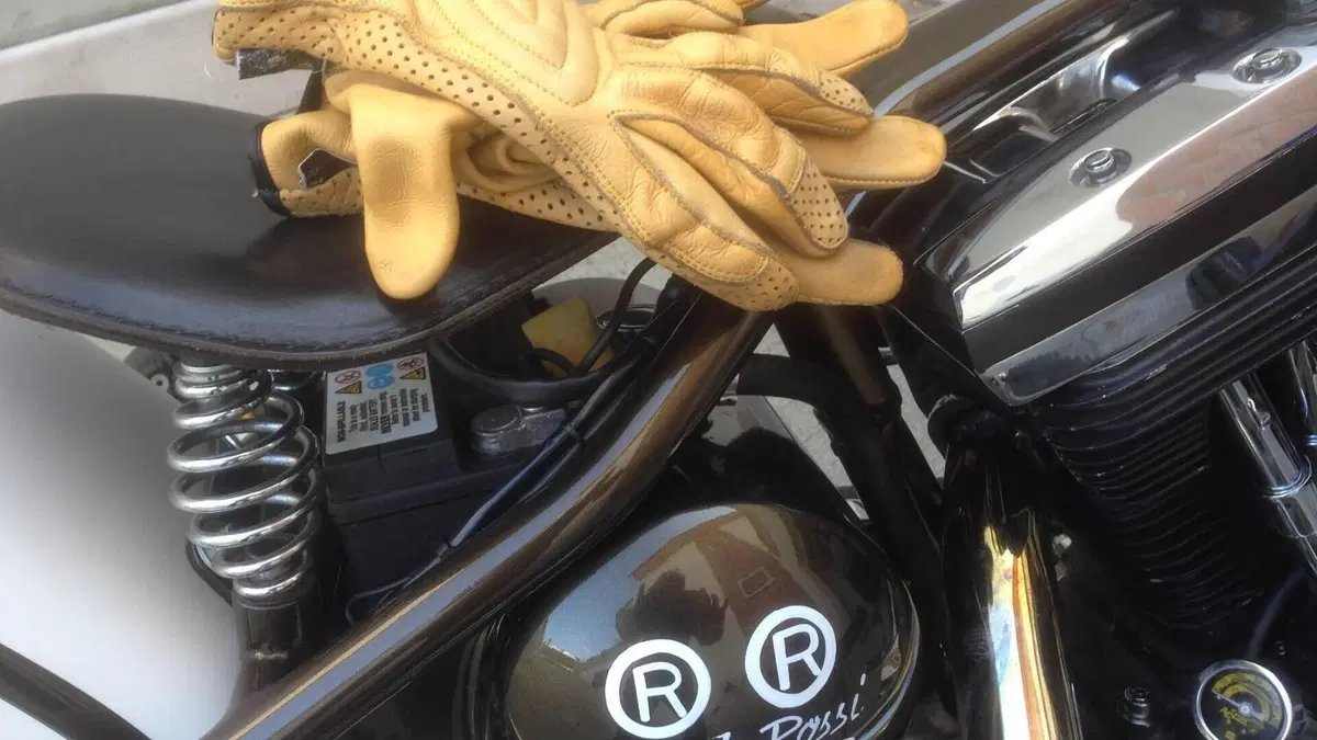 Harley-Davidson   (5)