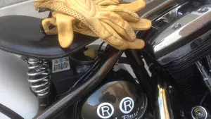 Harley-Davidson   (5)