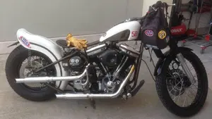 Harley-Davidson   (7)