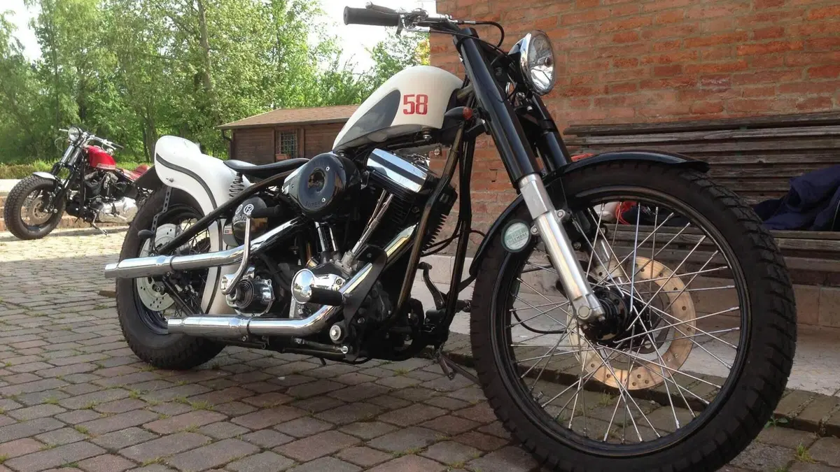 Harley-Davidson   (8)