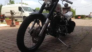 Harley-Davidson   (9)