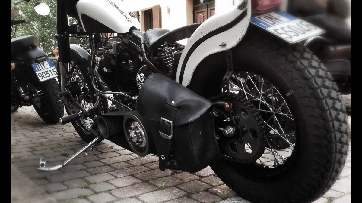 Harley-Davidson   (10)