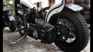 Harley-Davidson   (10)