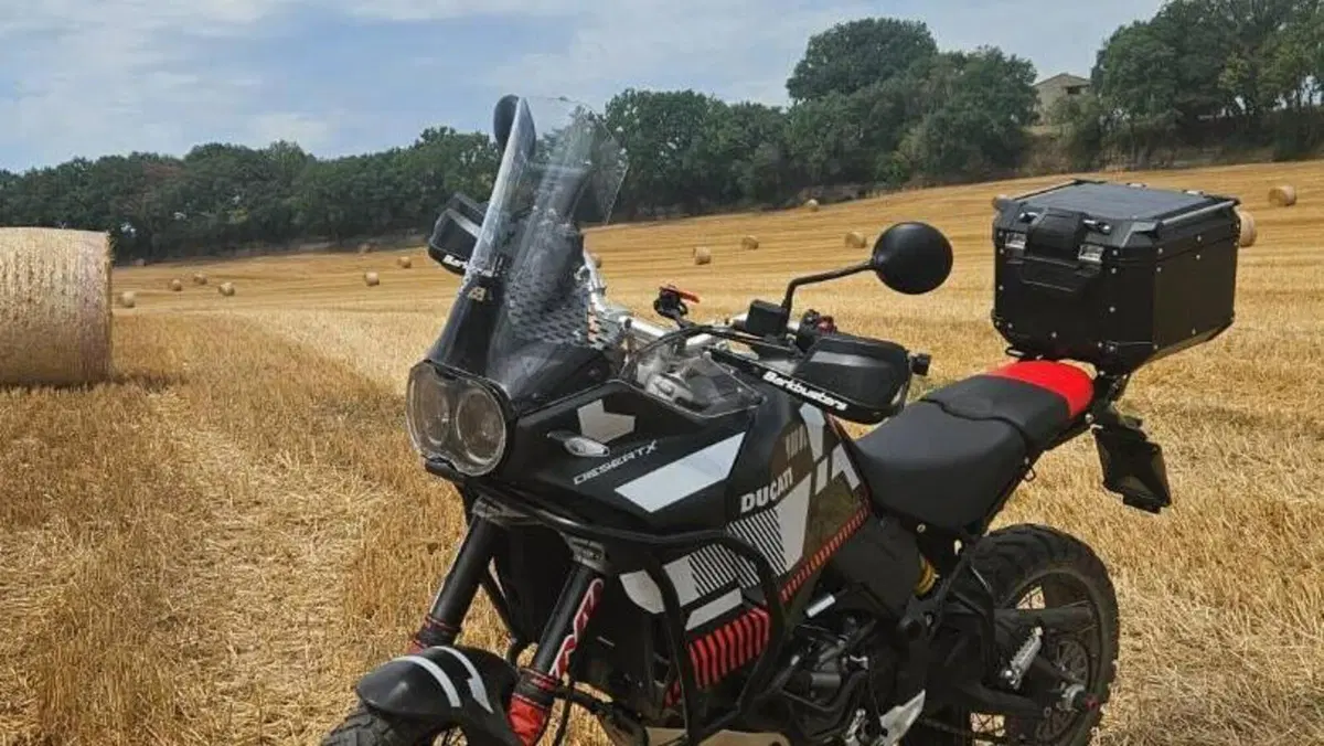 Ducati DesertX (2022 - 25)  (2)