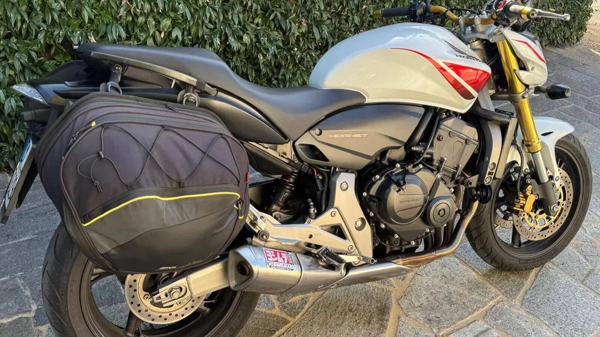 Honda Hornet 600 (2007 - 10)  (2)