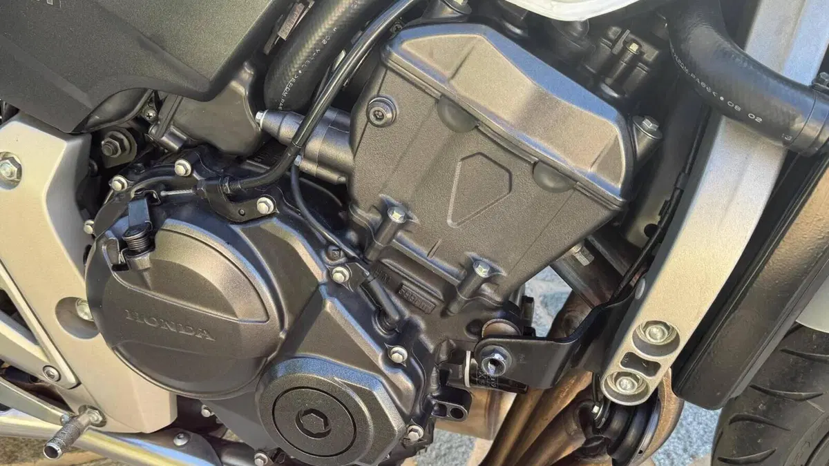 Honda Hornet 600 (2007 - 10)  (4)