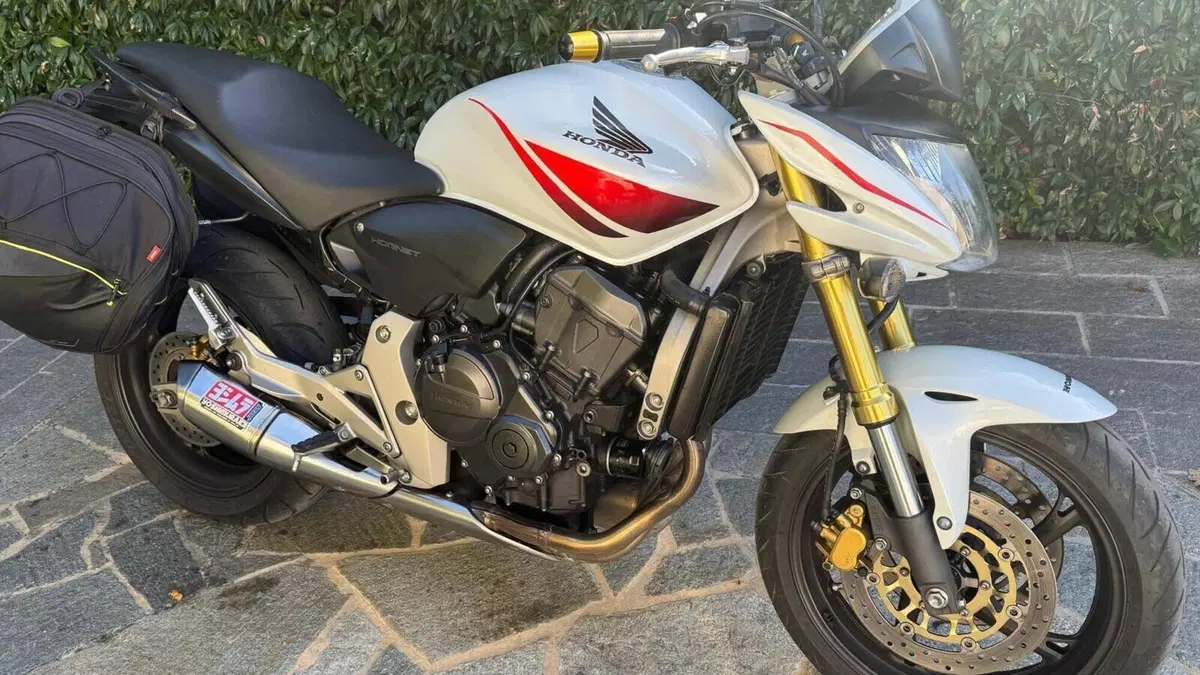 Honda Hornet 600 (2007 - 10)  (5)