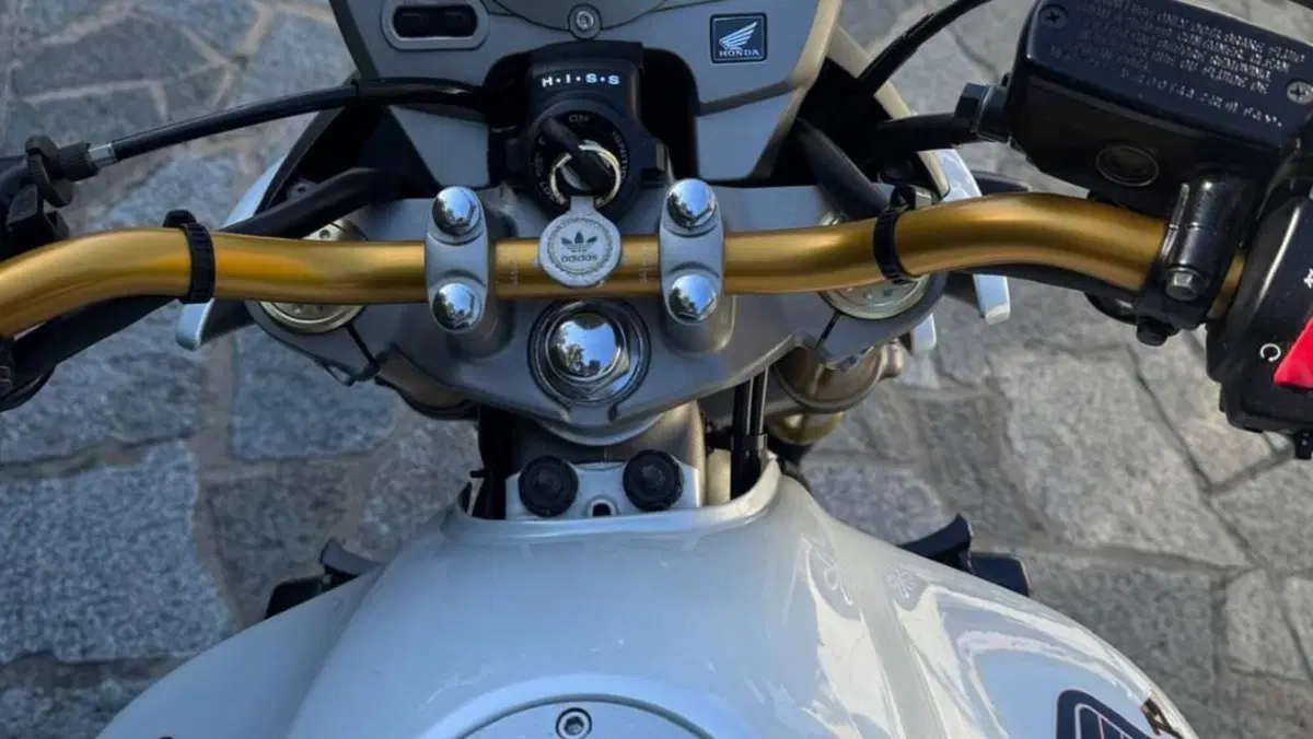 Honda Hornet 600 (2007 - 10)  (6)