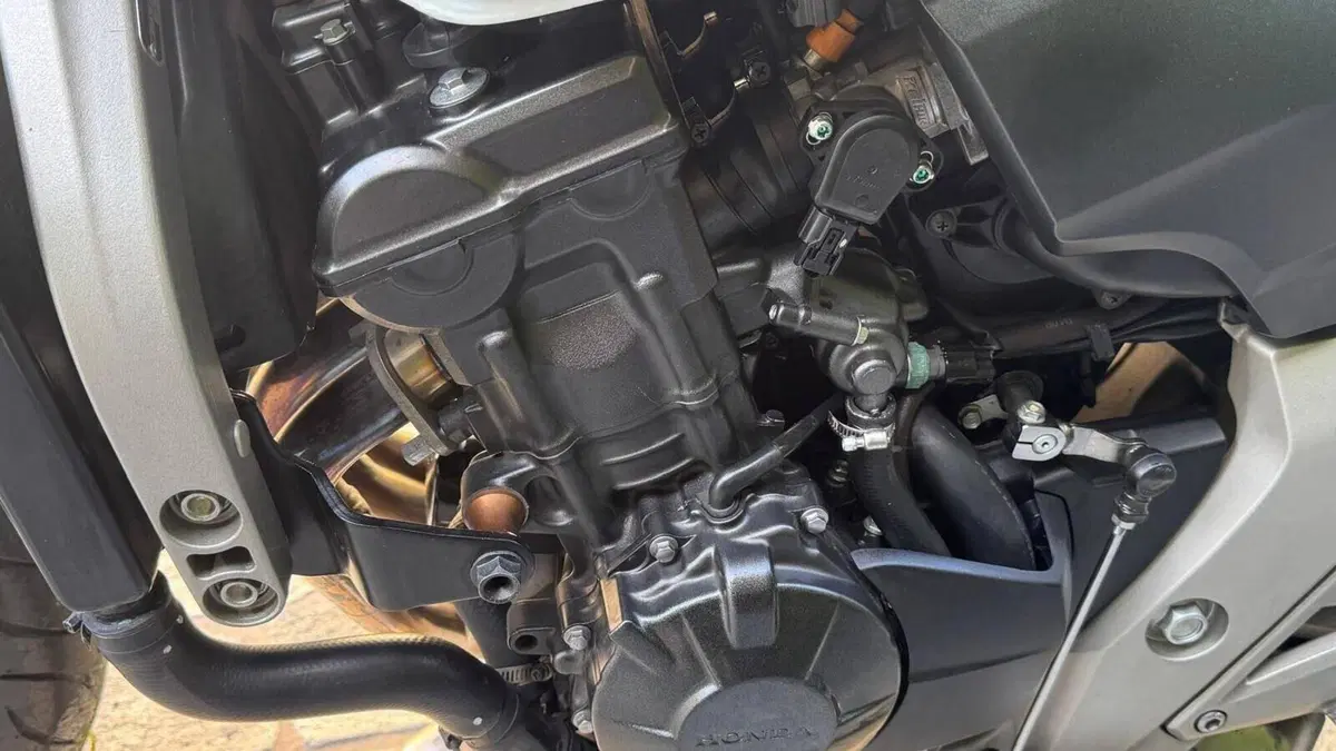 Honda Hornet 600 (2007 - 10)  (7)