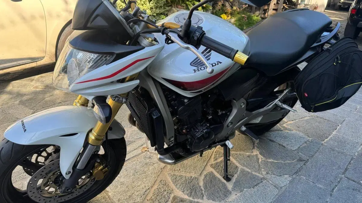 Honda Hornet 600 (2007 - 10)  (8)