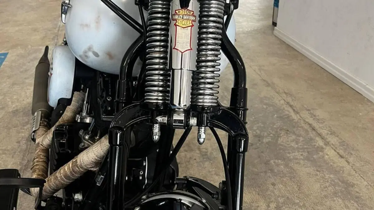 Harley-Davidson 1584 Cross Bones (2008 - 11) - FLSTSB  (2)