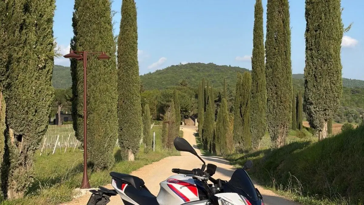 Aprilia Tuono 660 Factory (2022 - 24) 