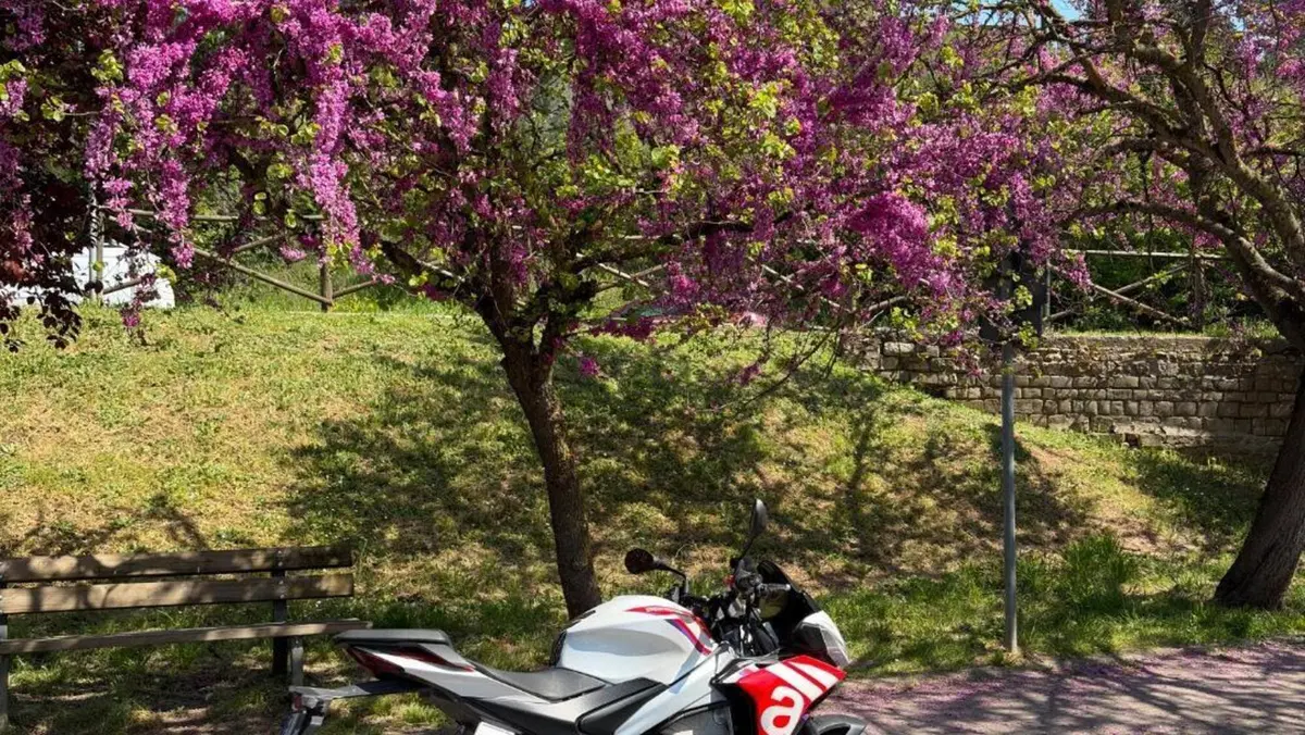 Aprilia Tuono 660 Factory (2022 - 24)  (3)
