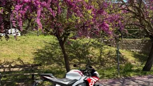 Aprilia Tuono 660 Factory (2022 - 24)  (3)
