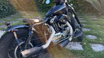 Harley-Davidson 1200 Custom (1995 - 00) - XL 1200C usata