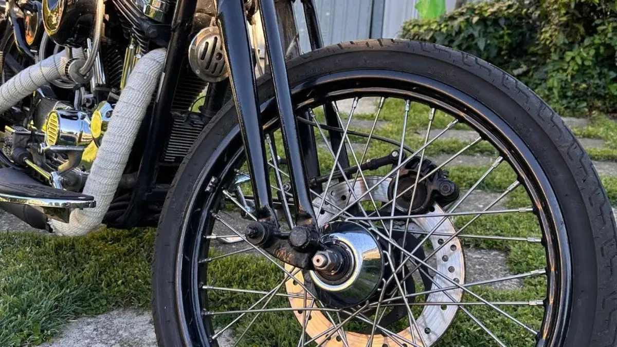 Harley-Davidson 1200 Custom (1995 - 00) - XL 1200C  (9)