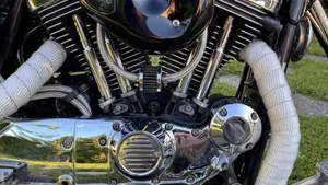 Harley-Davidson 1200 Custom (1995 - 00) - XL 1200C  (12)