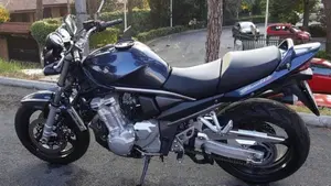 Suzuki GSF 1250 Bandit (2006 - 11)  (2)