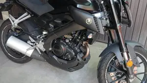 Yamaha MT-125 ABS (2017 - 19)  (2)