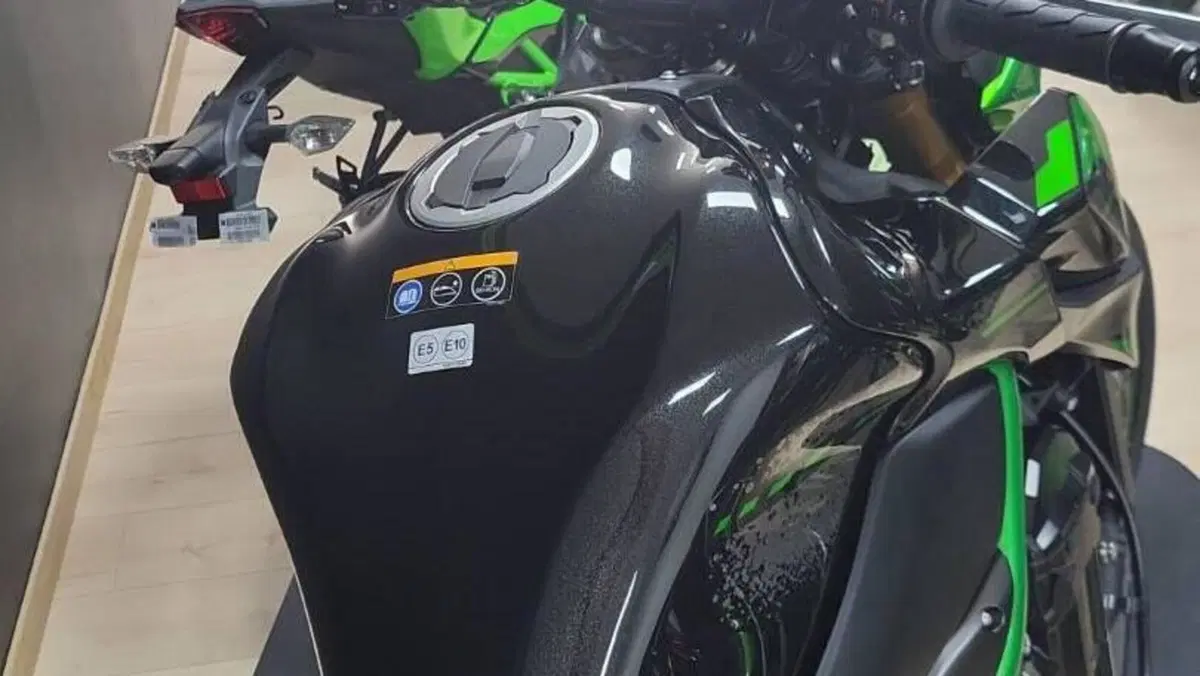 Kawasaki Z 900 SE Performance (2023 - 24)  (3)