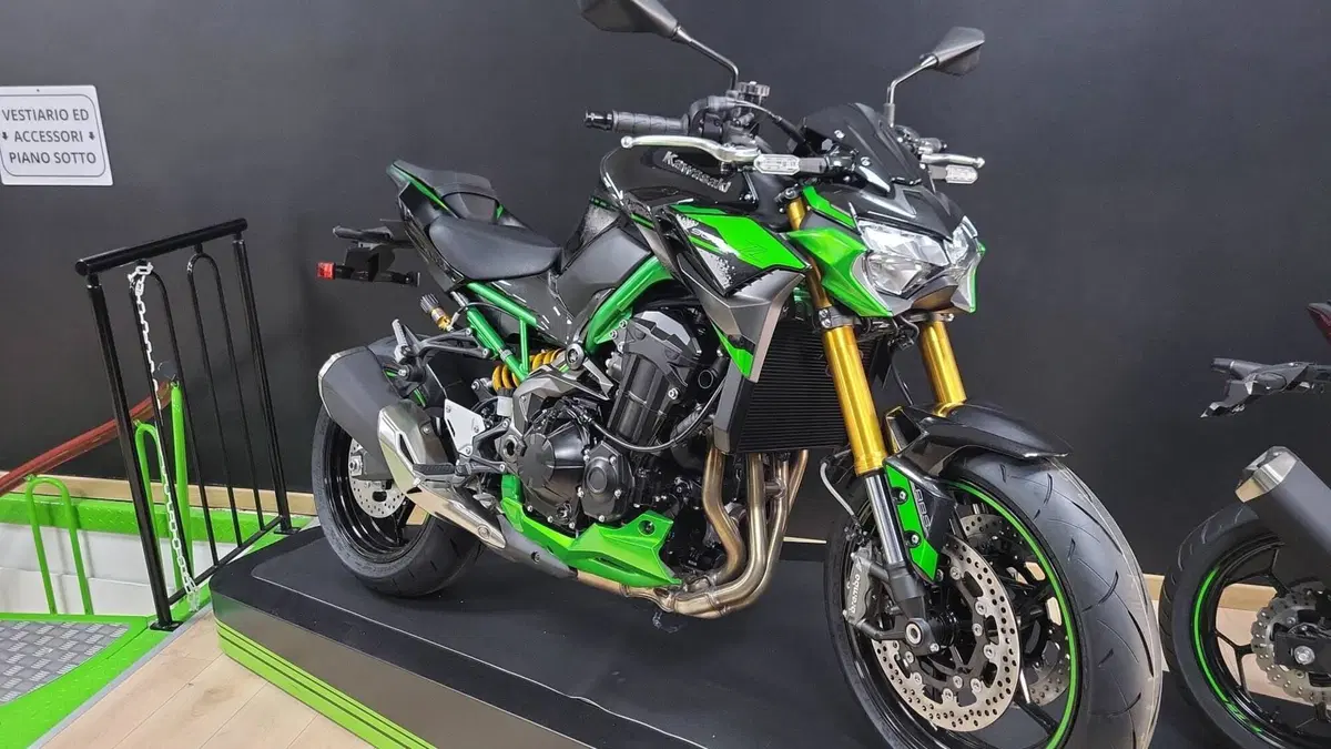 Kawasaki Z 900 SE Performance (2023 - 24)  (5)