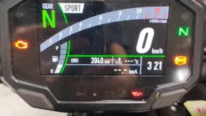 Kawasaki Z 900 (2021 - 24)  (4)