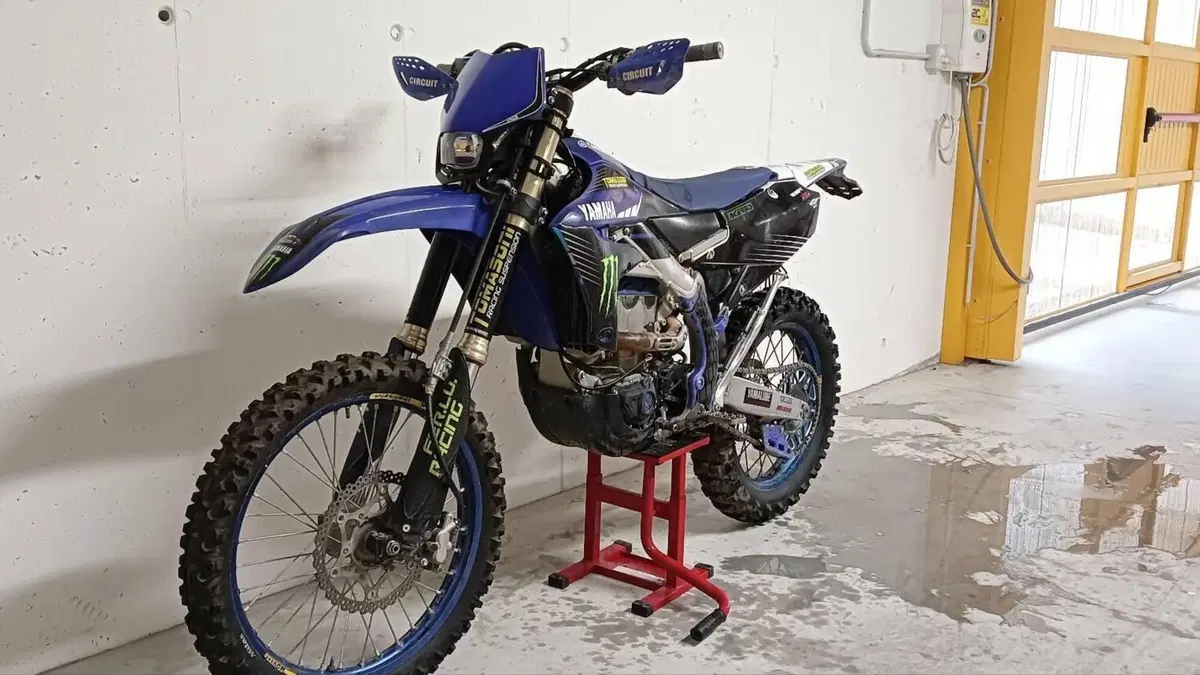 Yamaha WR 250 F (2021)  (6)