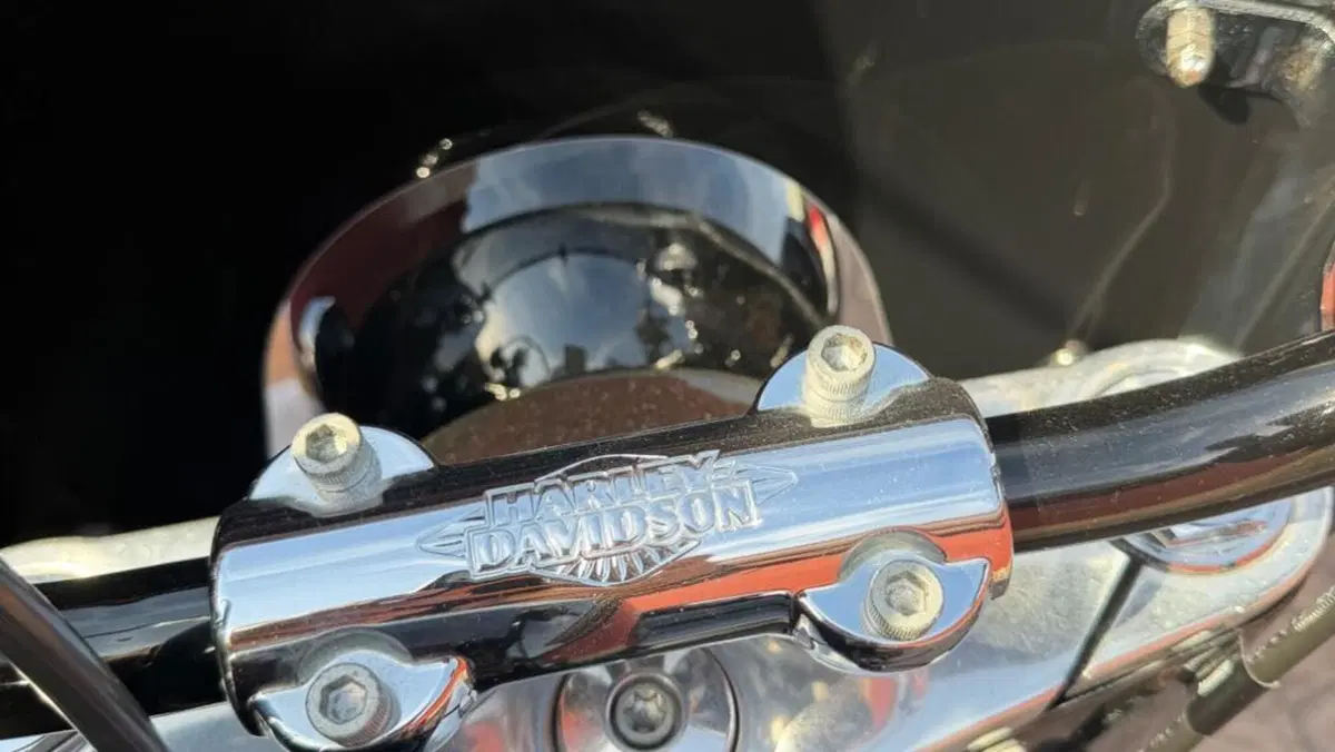 Harley-Davidson 114 Heritage Classic (2018 - 20) - FLHCS  (11)