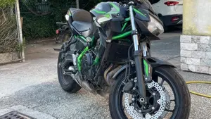 Kawasaki Z 650 (2025 - 26)  (2)