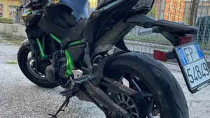 Kawasaki Z 650 (2025 - 26)  (6)