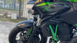 Kawasaki Z 650 (2025 - 26)  (9)