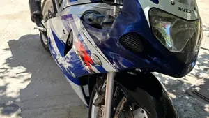 Suzuki GSX R 600 (2001 - 03)  (7)