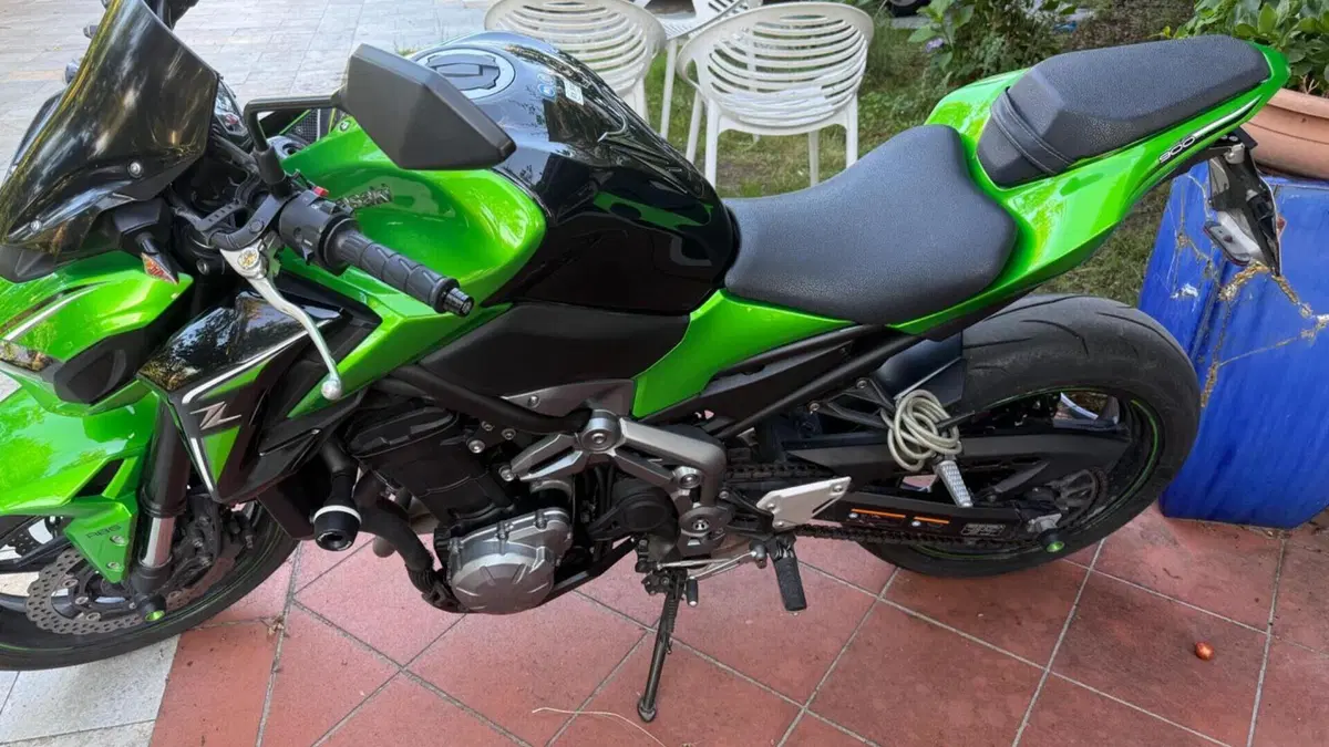 Kawasaki Z 900 (2017 - 18)  (2)