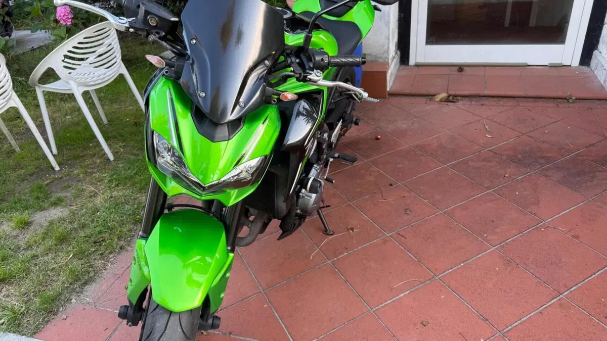 Kawasaki Z 900 (2017 - 18)  (3)